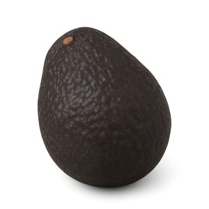 Aguacate Hass