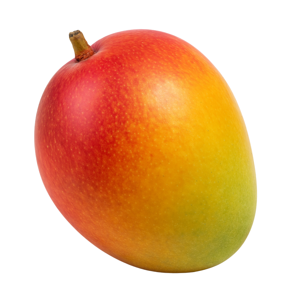 Mango Kitt Bayaagroint Costa Rica