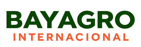 Logo Positivo Version Light